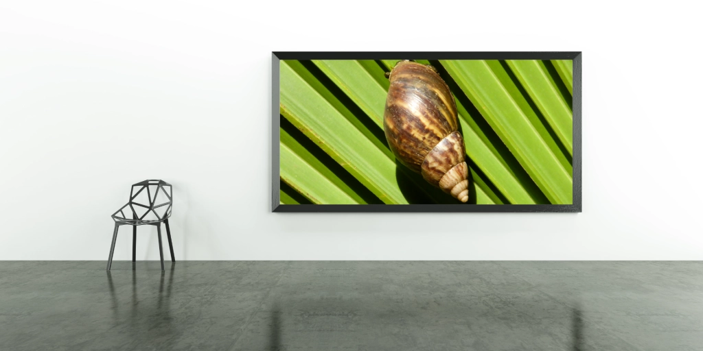 Naturbild mit Rahmen Slow Food als Galeriedruck in einer Kunstgalerie