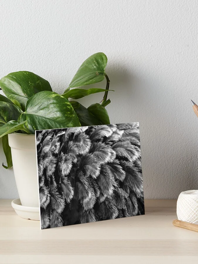 Acrylblock mit Straußenfedernmotiv